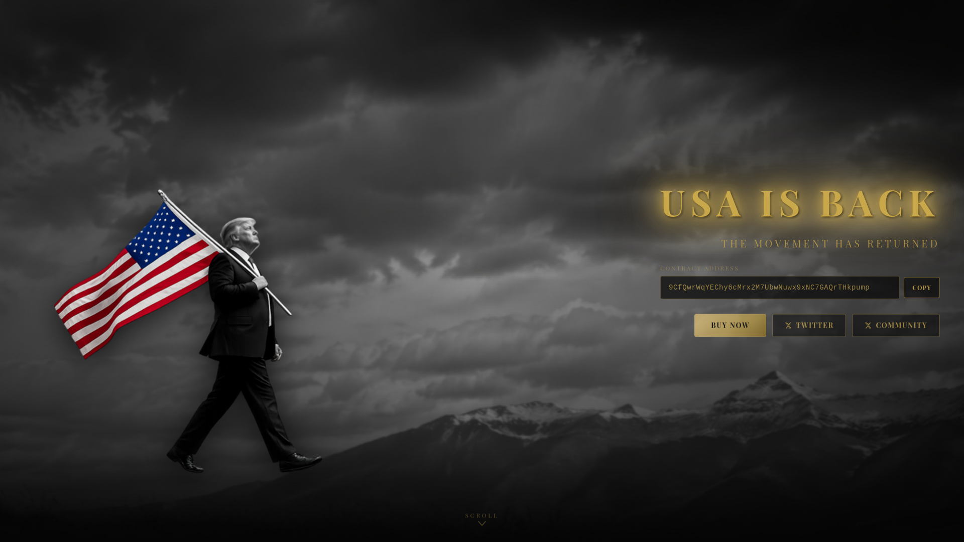 website screenshot of https://usaisback.meme/