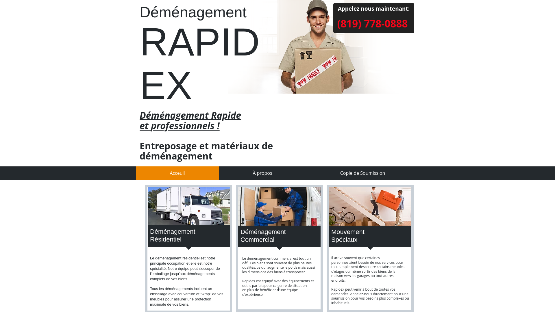 website screenshot of https://demenagementrapidex.com/