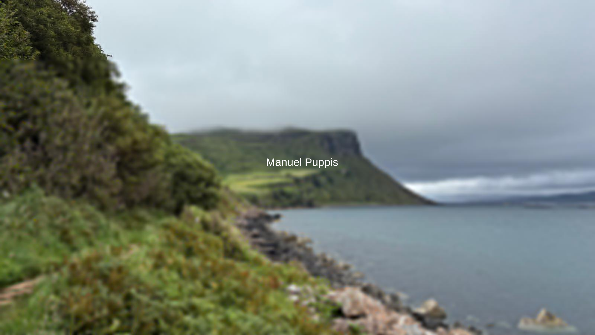 website screenshot of https://manuelpuppis.ch/