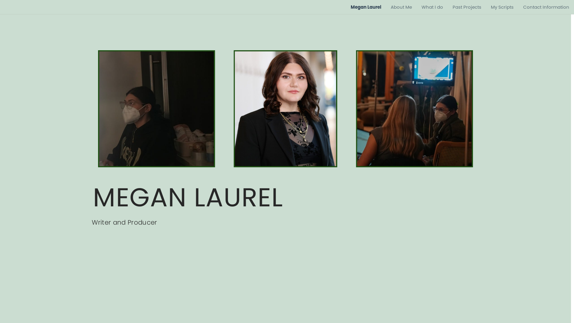 website screenshot of https://writermeganlaurel.com/