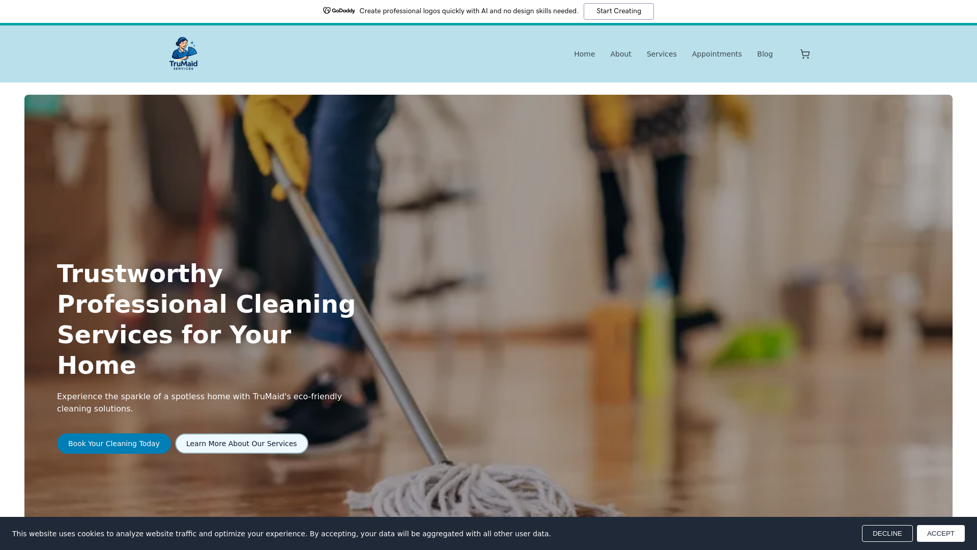 website screenshot of https://trumaidservices.com/