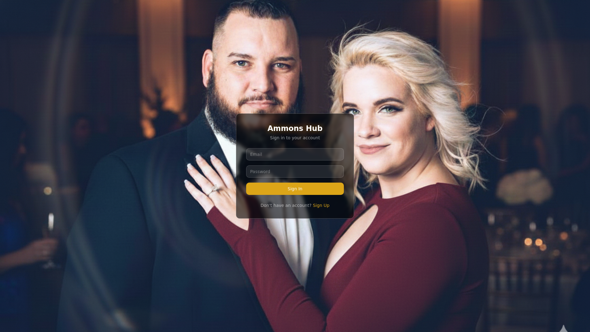 website screenshot of https://ammonshub.com/