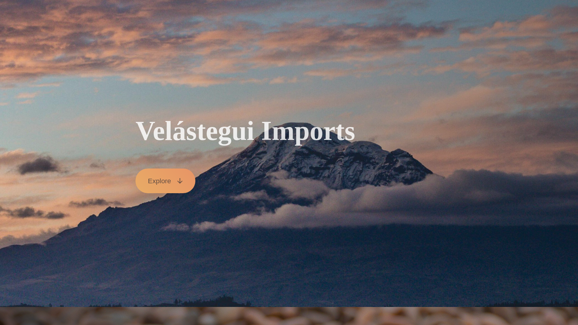 website screenshot of https://velastegui-imports.com