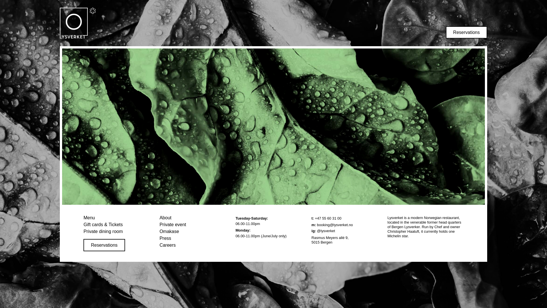 website screenshot of https://lysverket.pro/