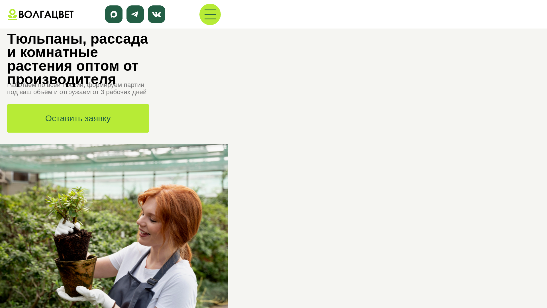 website screenshot of https://volgazvet.ru