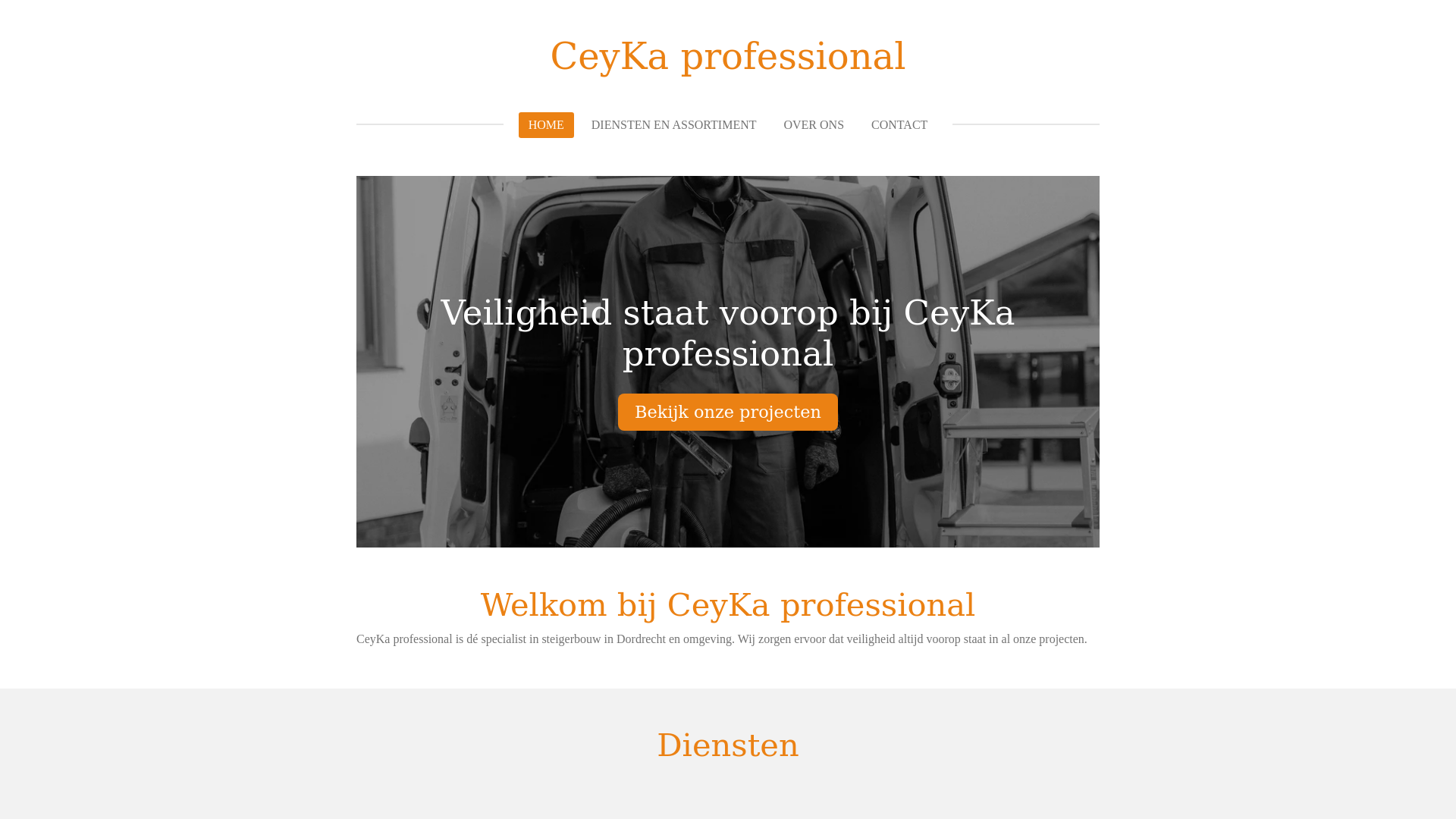 website screenshot of https://ceykaprofessional.com