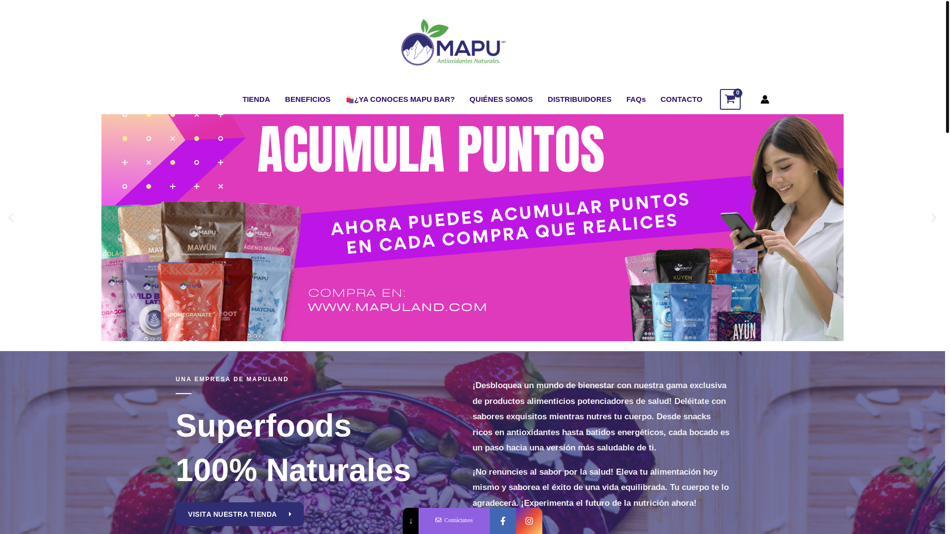 website screenshot of https://www.mapuland.com/index.php/