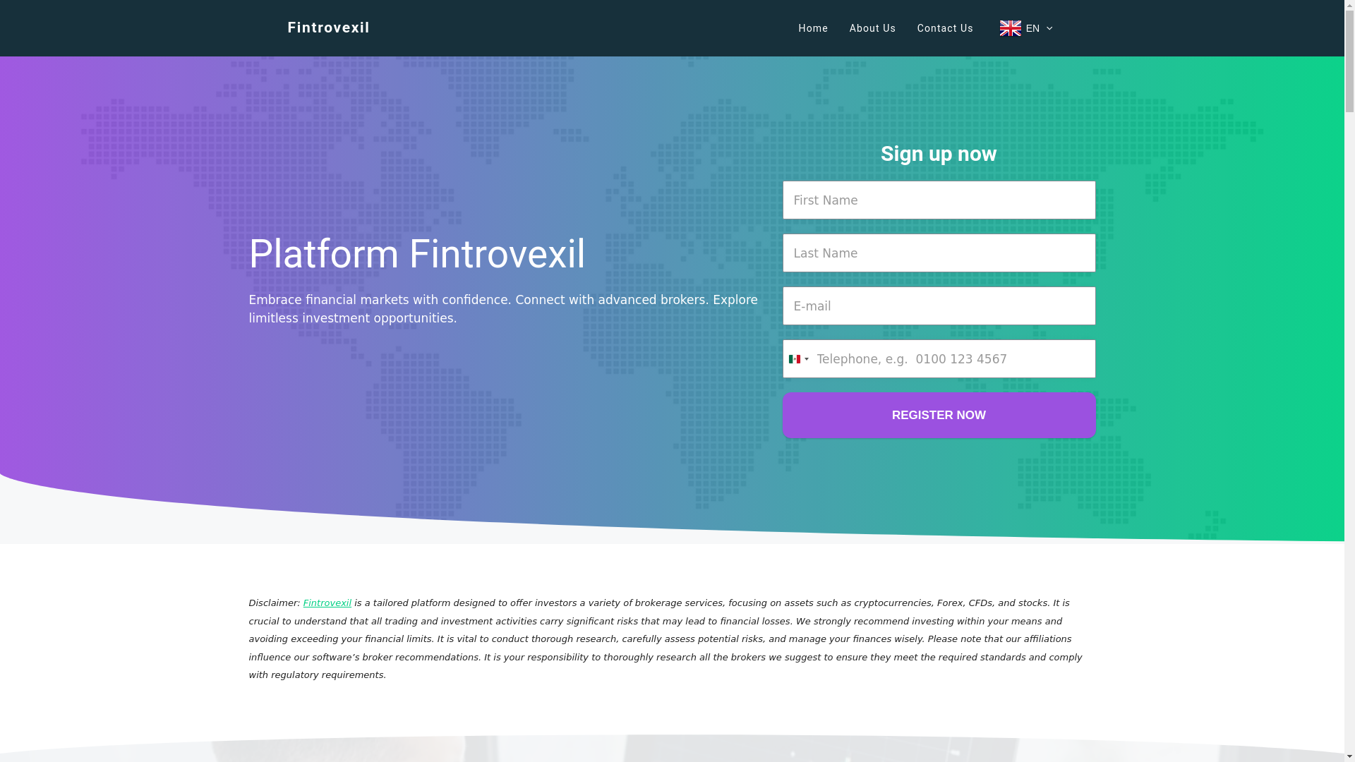 website screenshot of https://fintrovexilapp.com/