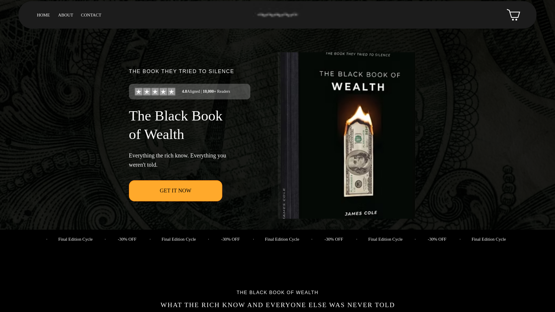 website screenshot of https://theblackbookofwealth.com/