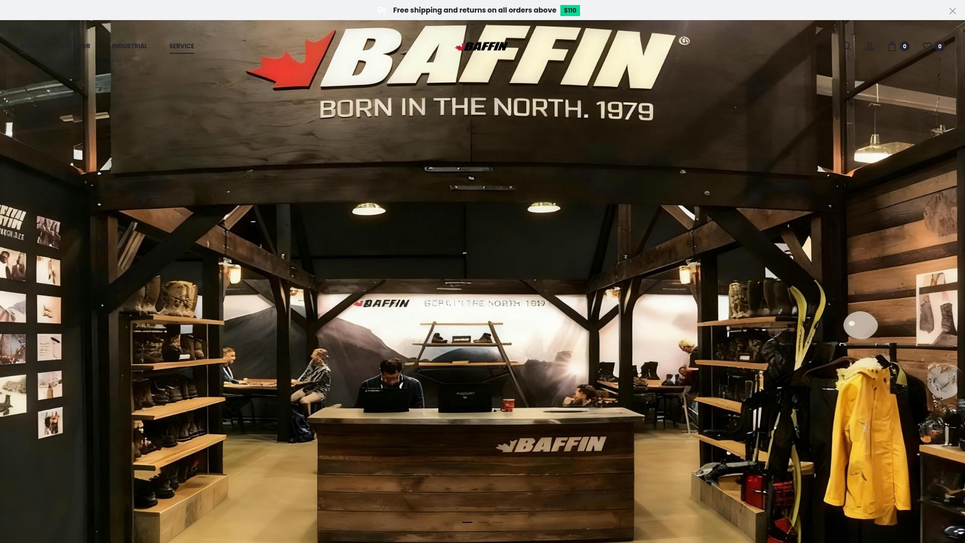 website screenshot of https://baffinus.us/