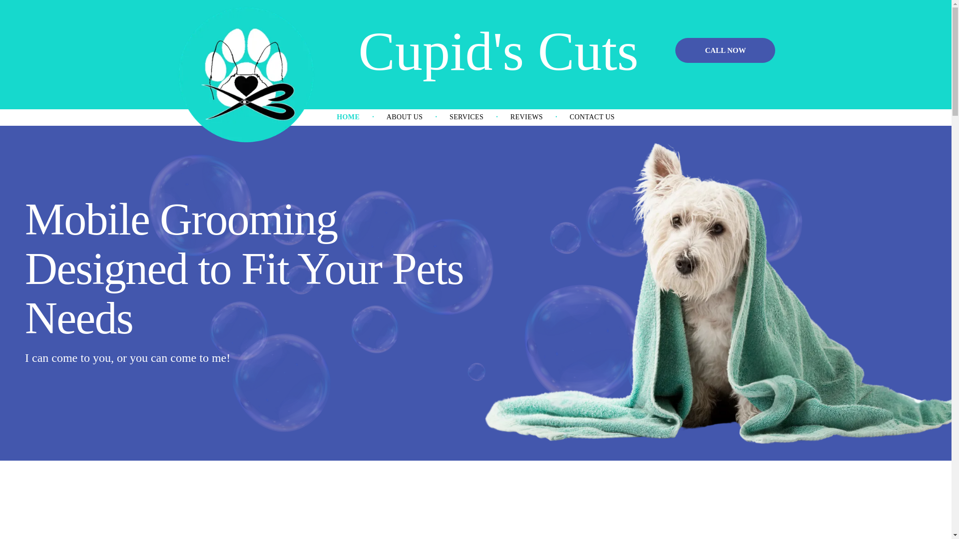 website screenshot of https://cupidscuts.com/
