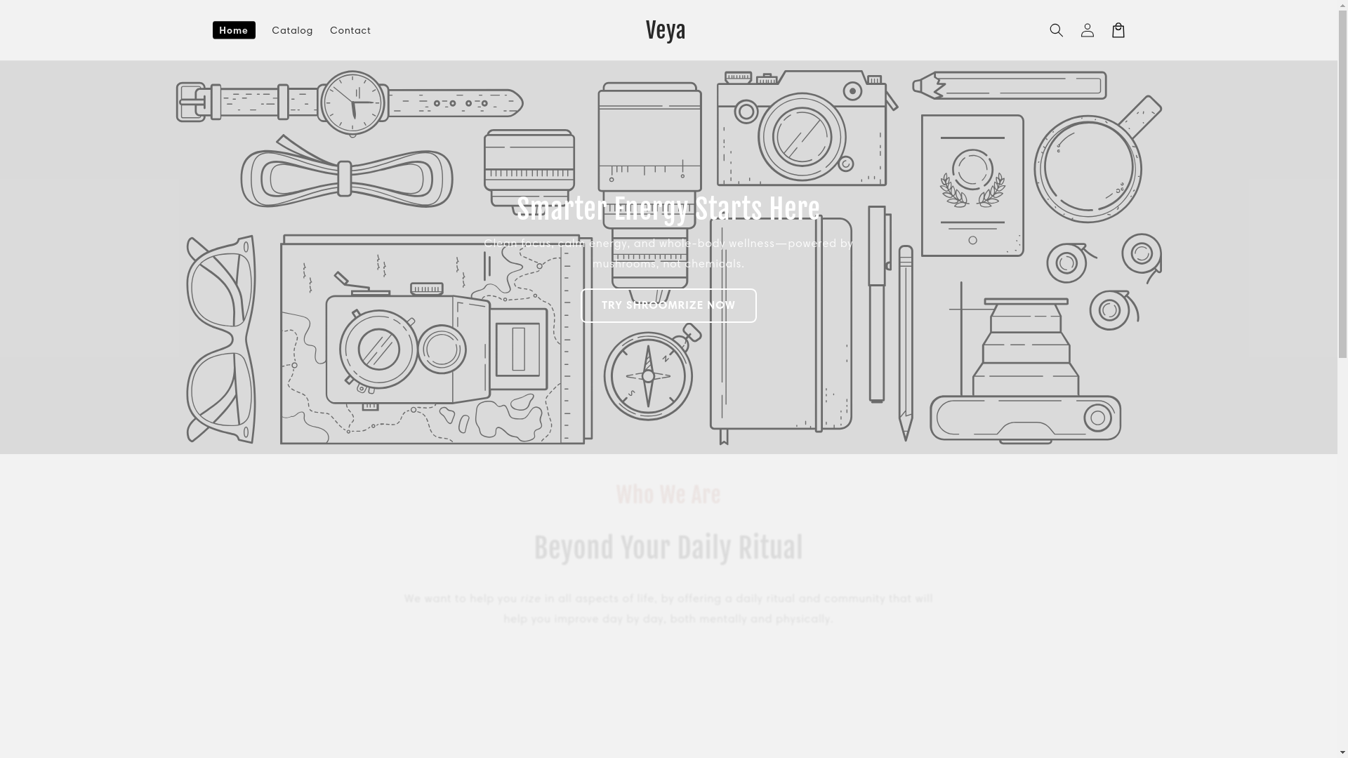 website screenshot of https://veyaandco.com/
