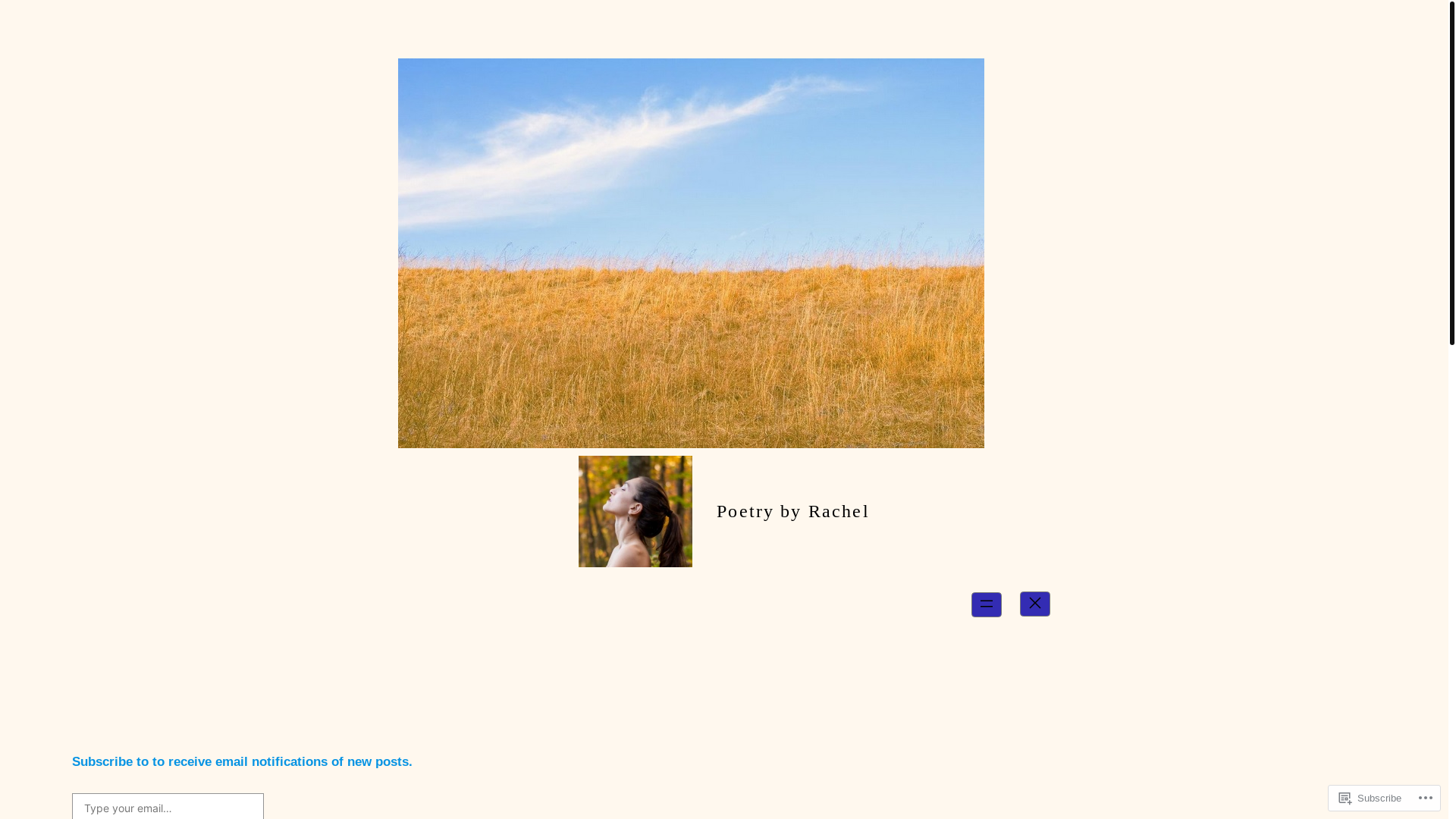 website screenshot of https://arayintheworld.com/