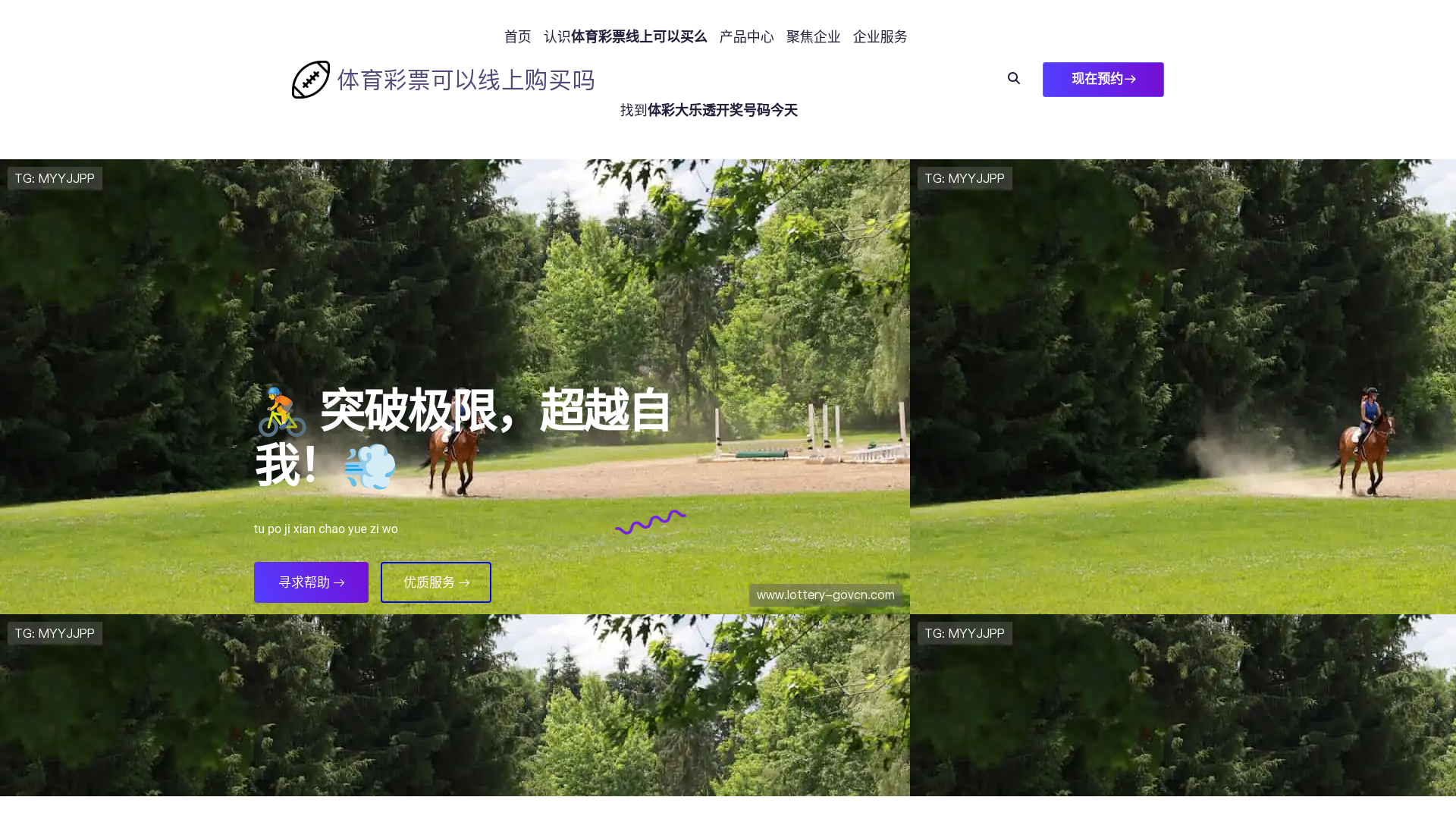 website screenshot of https://lottery-govcn.com/