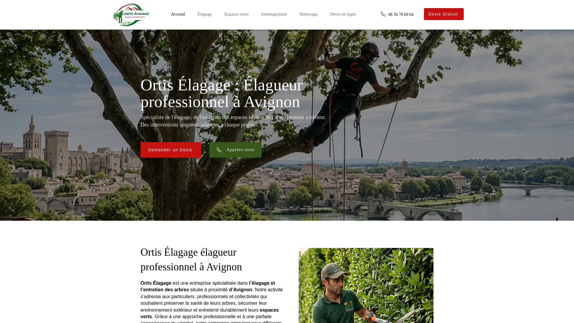 website screenshot of https://ortis-elagage.fr/