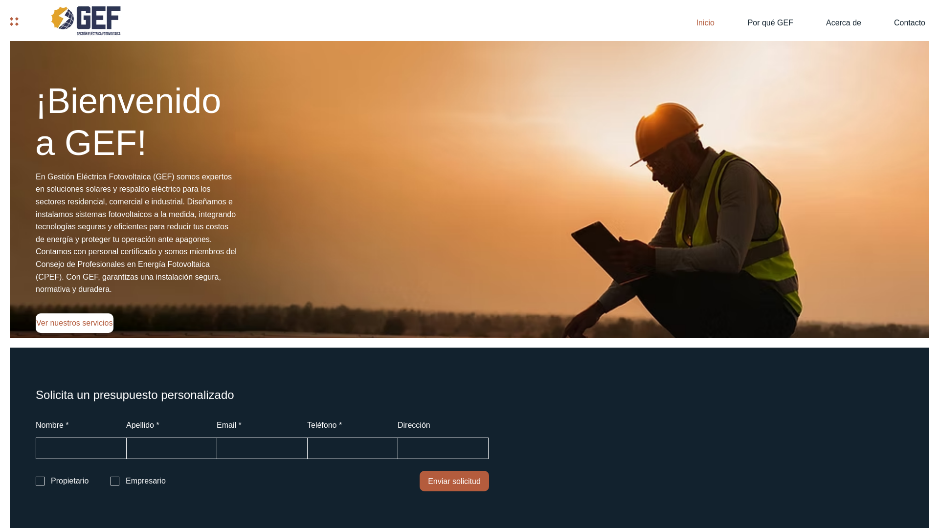 website screenshot of https://gef-bajio.com/