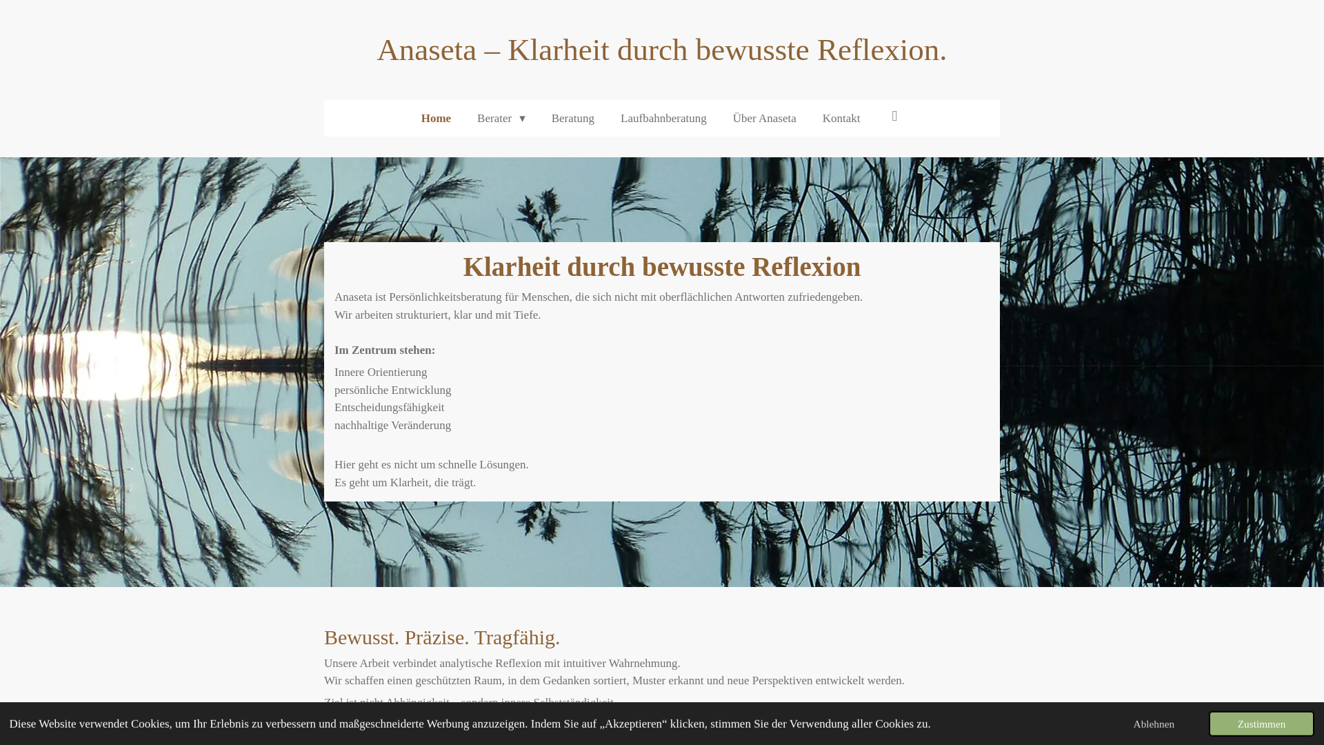 website screenshot of https://anaseta.ch