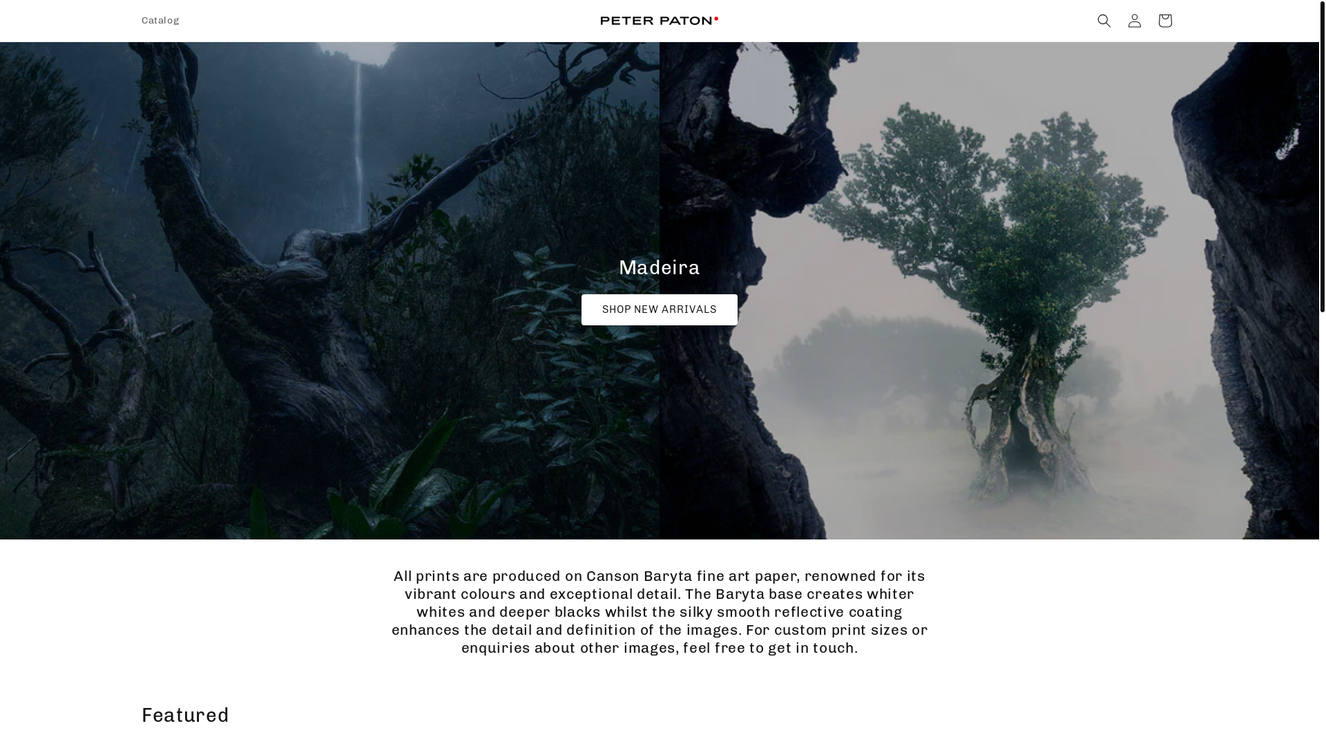 website screenshot of https://peterpatonprints.com/