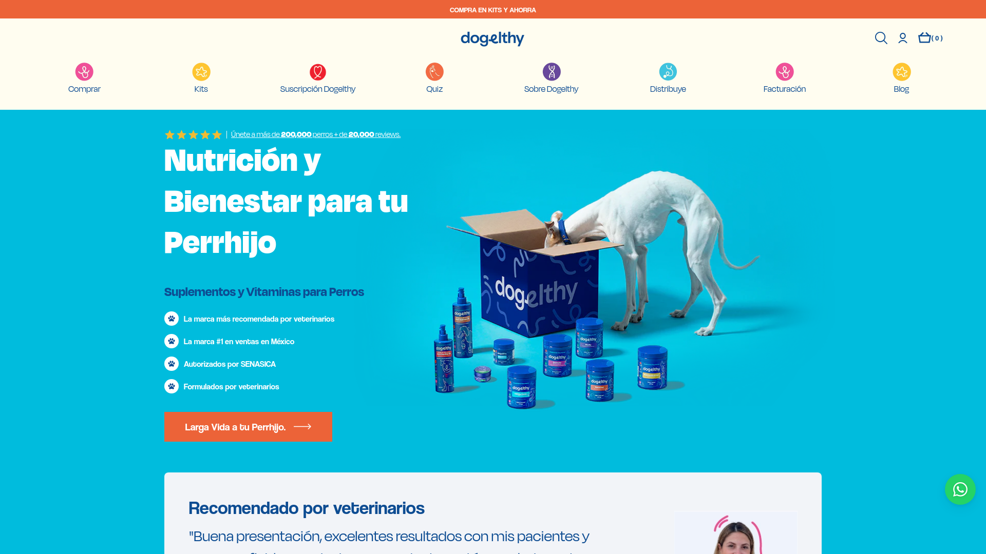 website screenshot of https://dogelthy.mx/