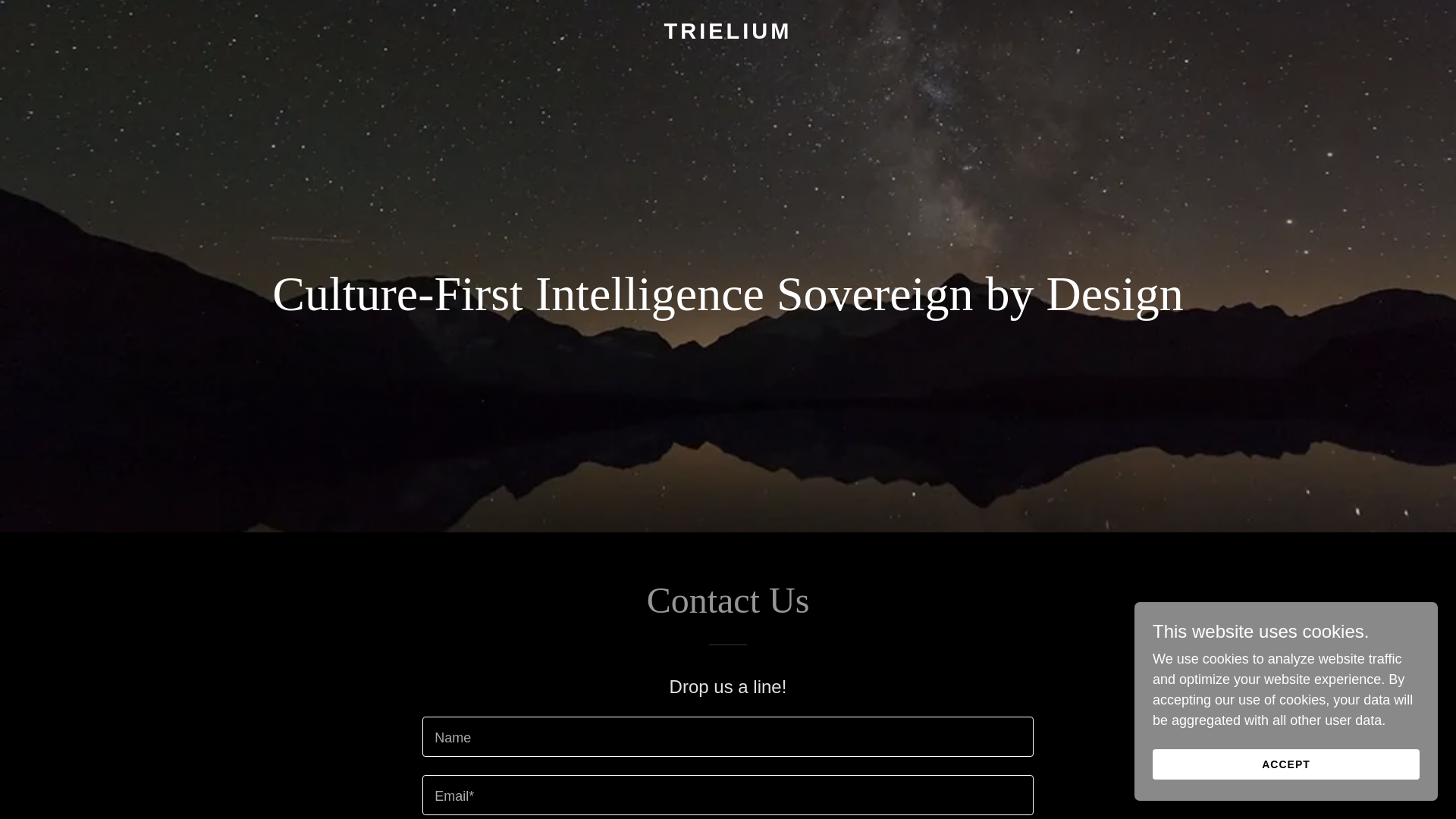 website screenshot of https://trielium.com/