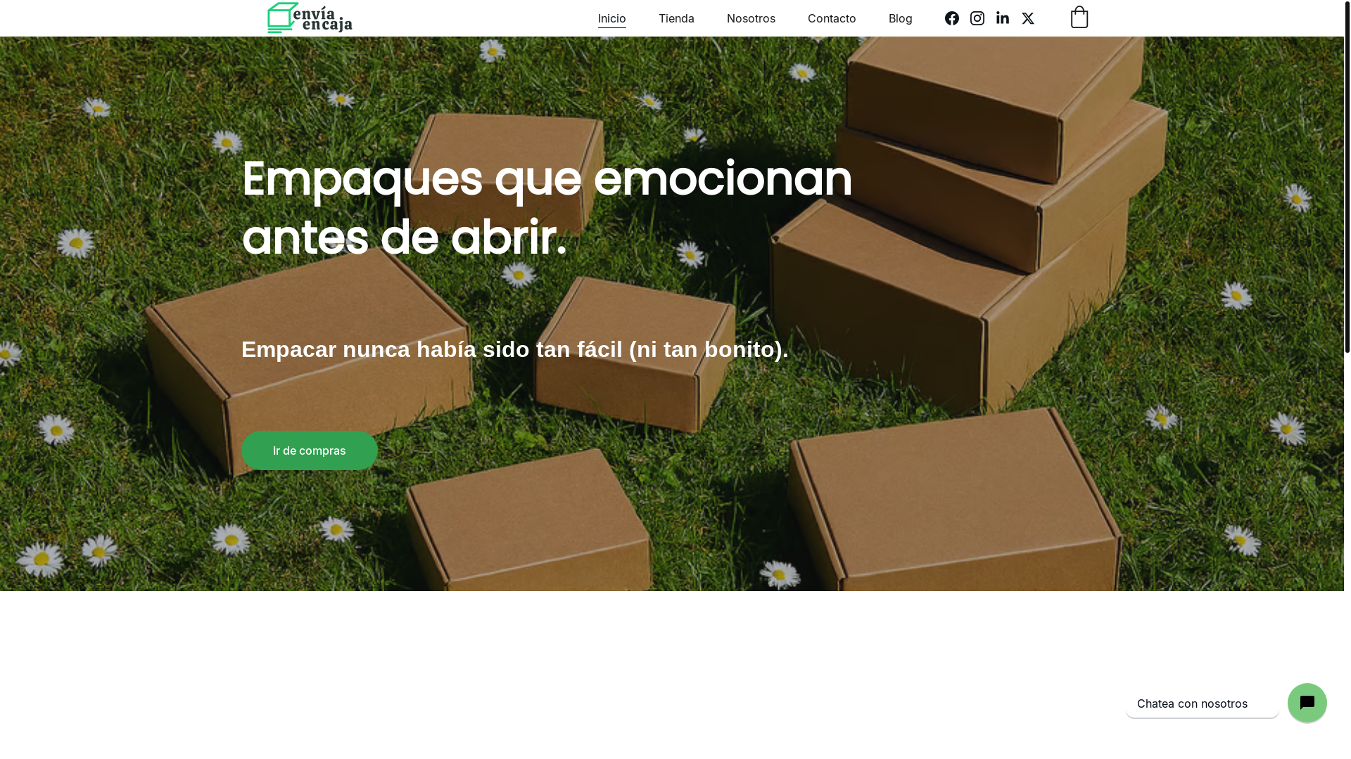 website screenshot of https://enviaenbolsa.mx/