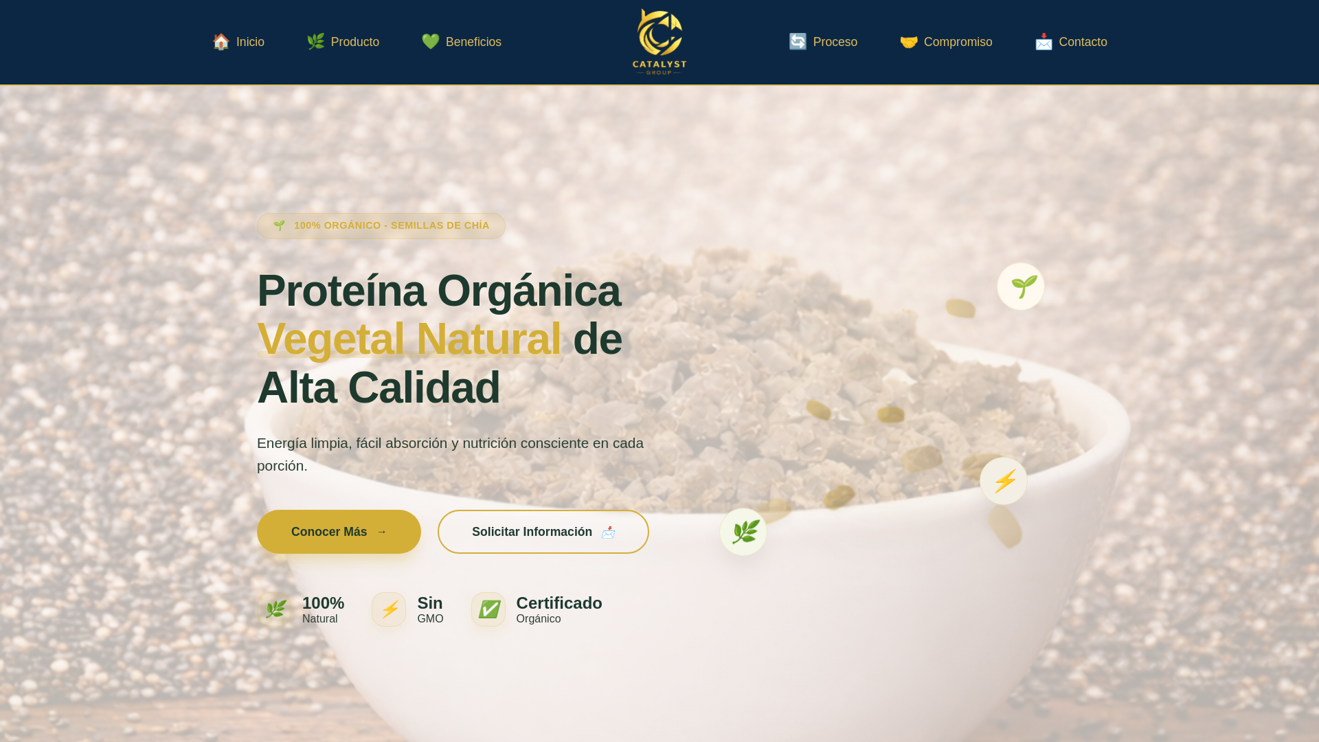 website screenshot of https://catalystgroupsac.com/