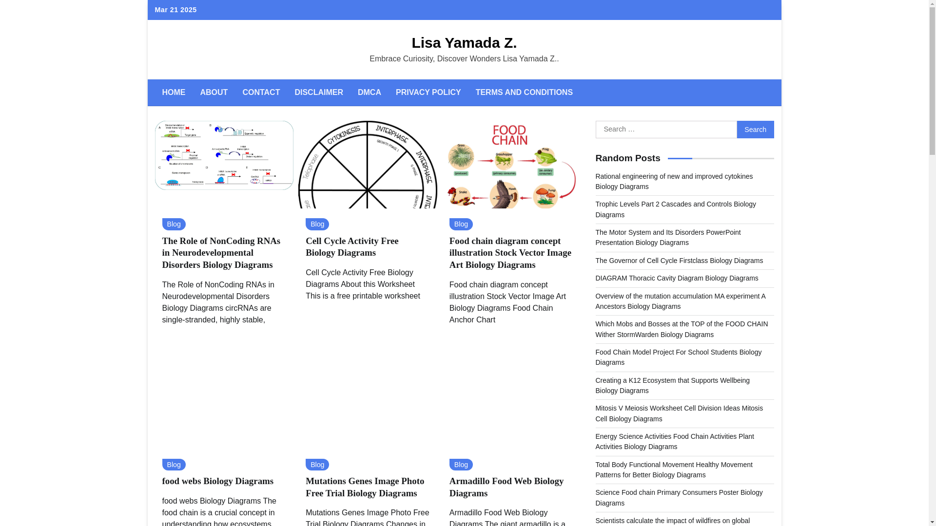 website screenshot of https://lisayamadaz.pages.dev/