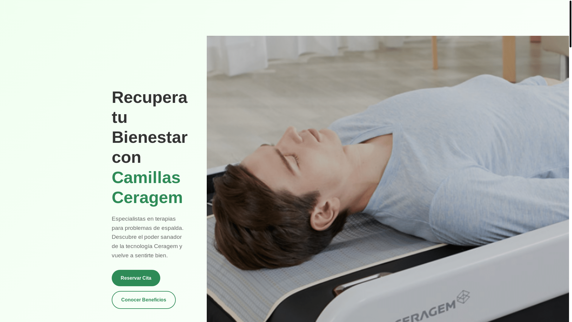 website screenshot of https://spasalud.cl/