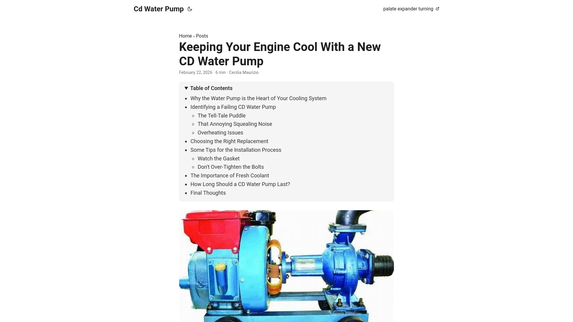 website screenshot of https://cd-water-pump.pages.dev/