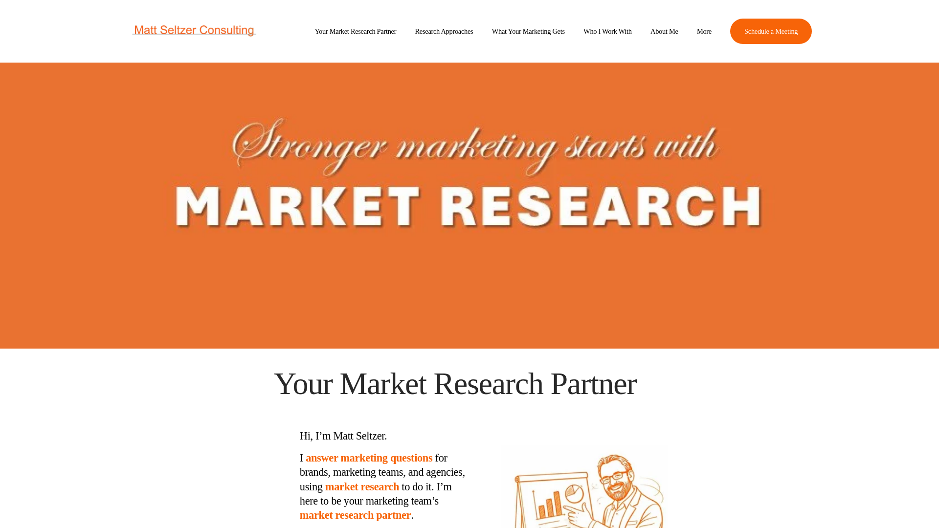 website screenshot of https://mattseltzerconsulting.com