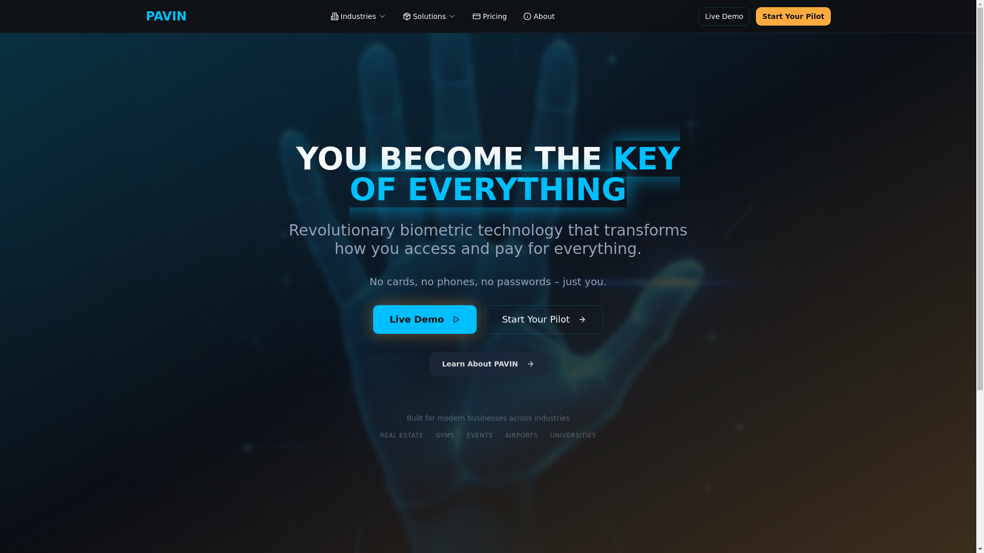 website screenshot of https://pavin.solutions/