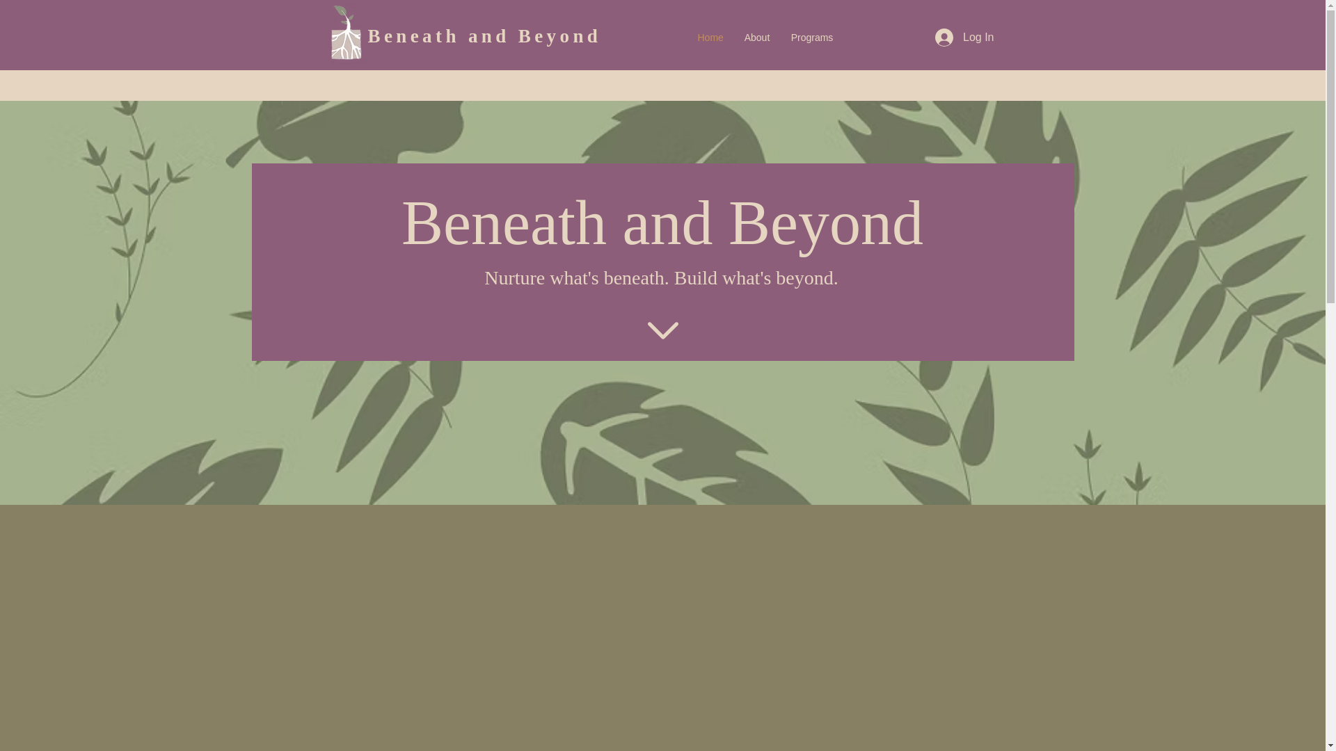 website screenshot of https://beneathandbeyond.org/