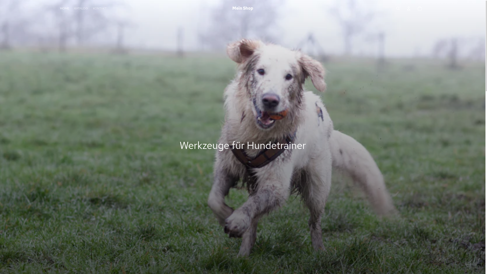 website screenshot of https://xn--werkzeuge-fr-hundetrainer-pwc.de/