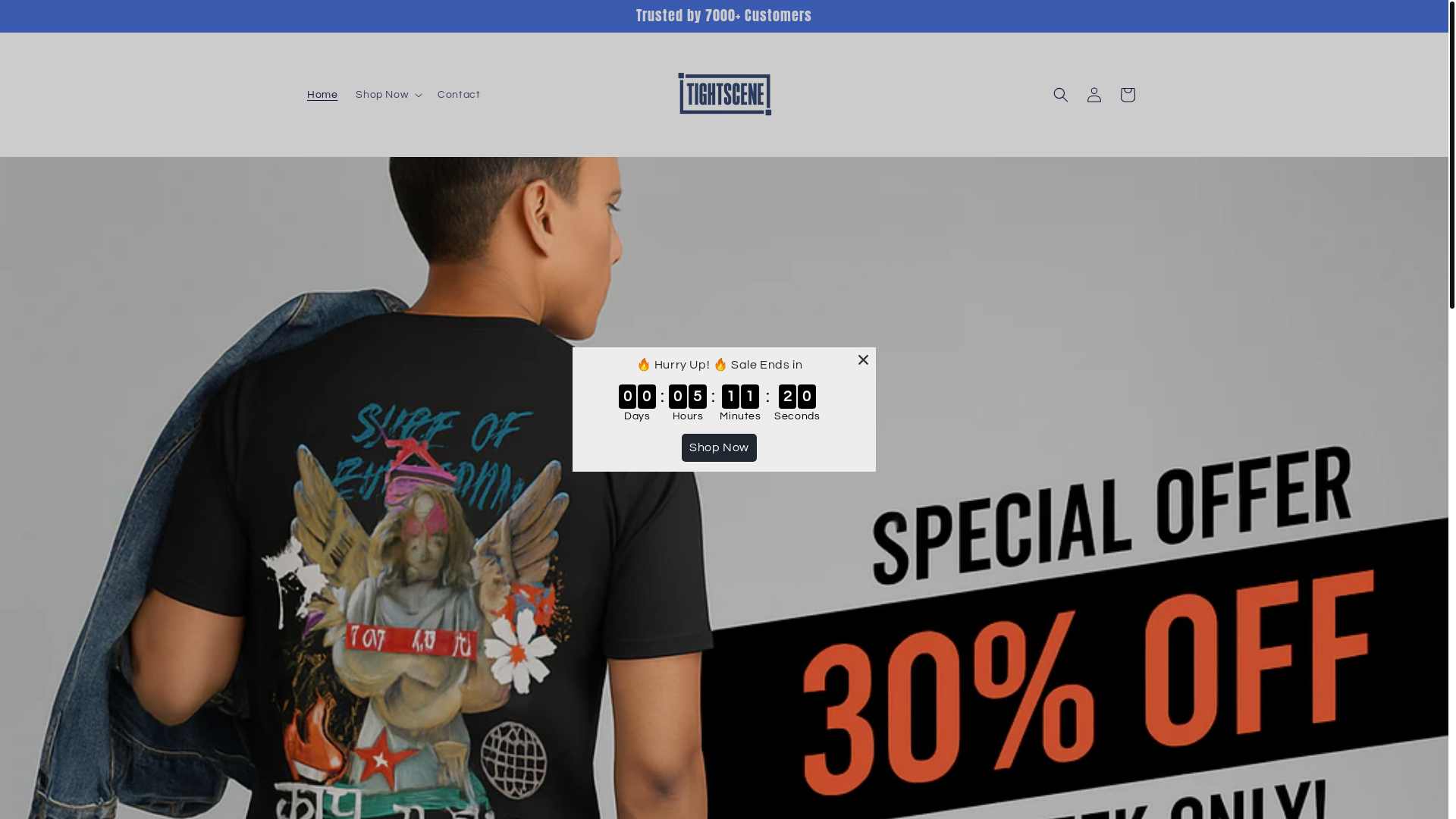 website screenshot of https://tightscene.store/