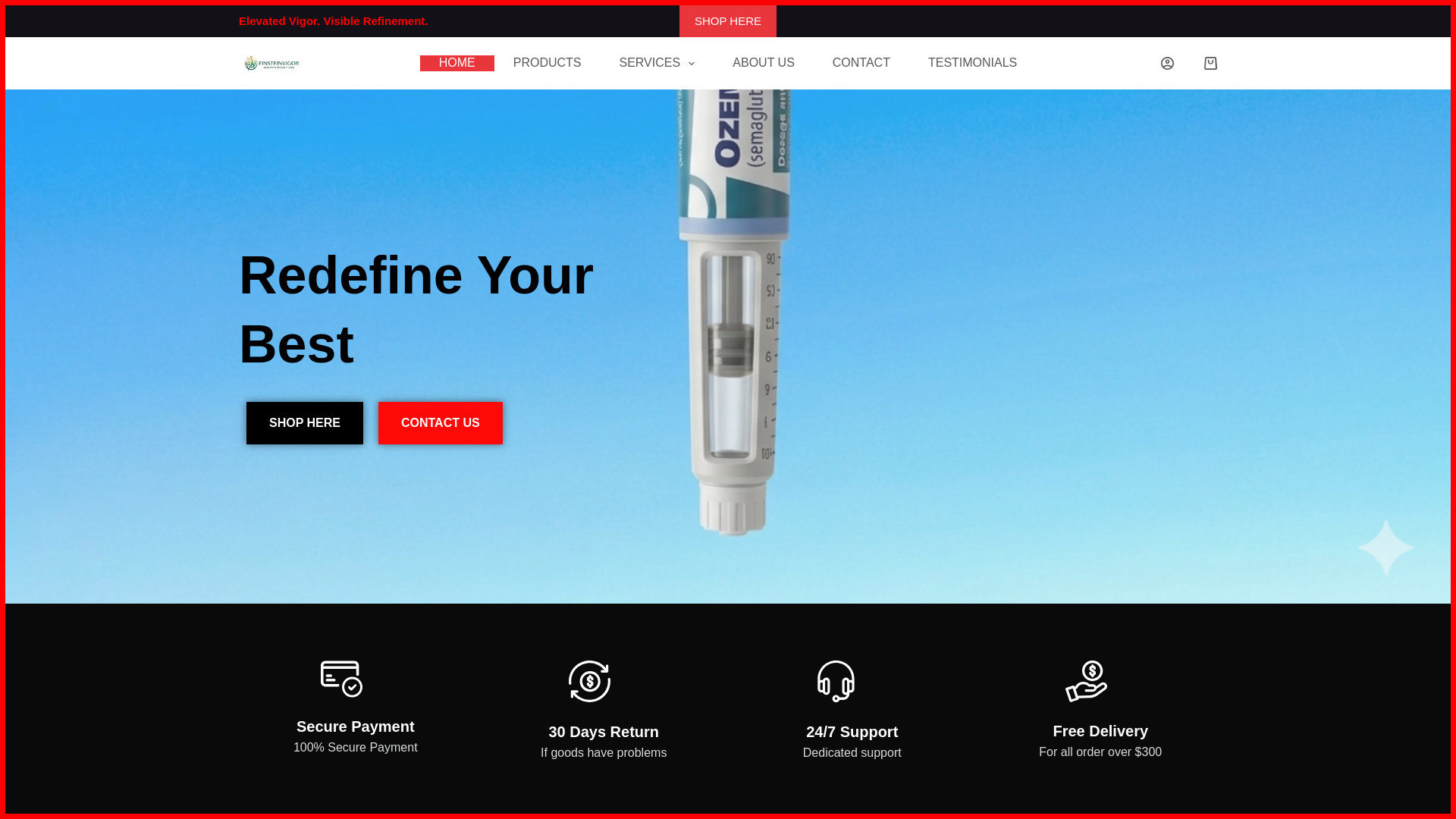 website screenshot of https://einsteinvigor.com/