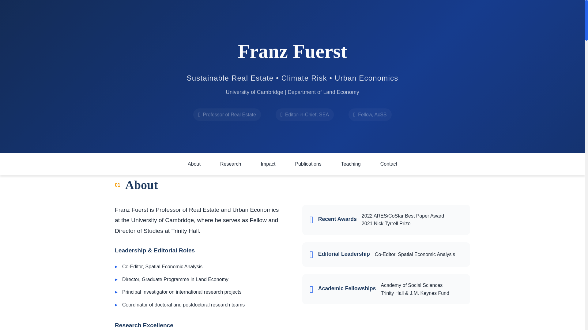 website screenshot of https://franz13.pages.dev/