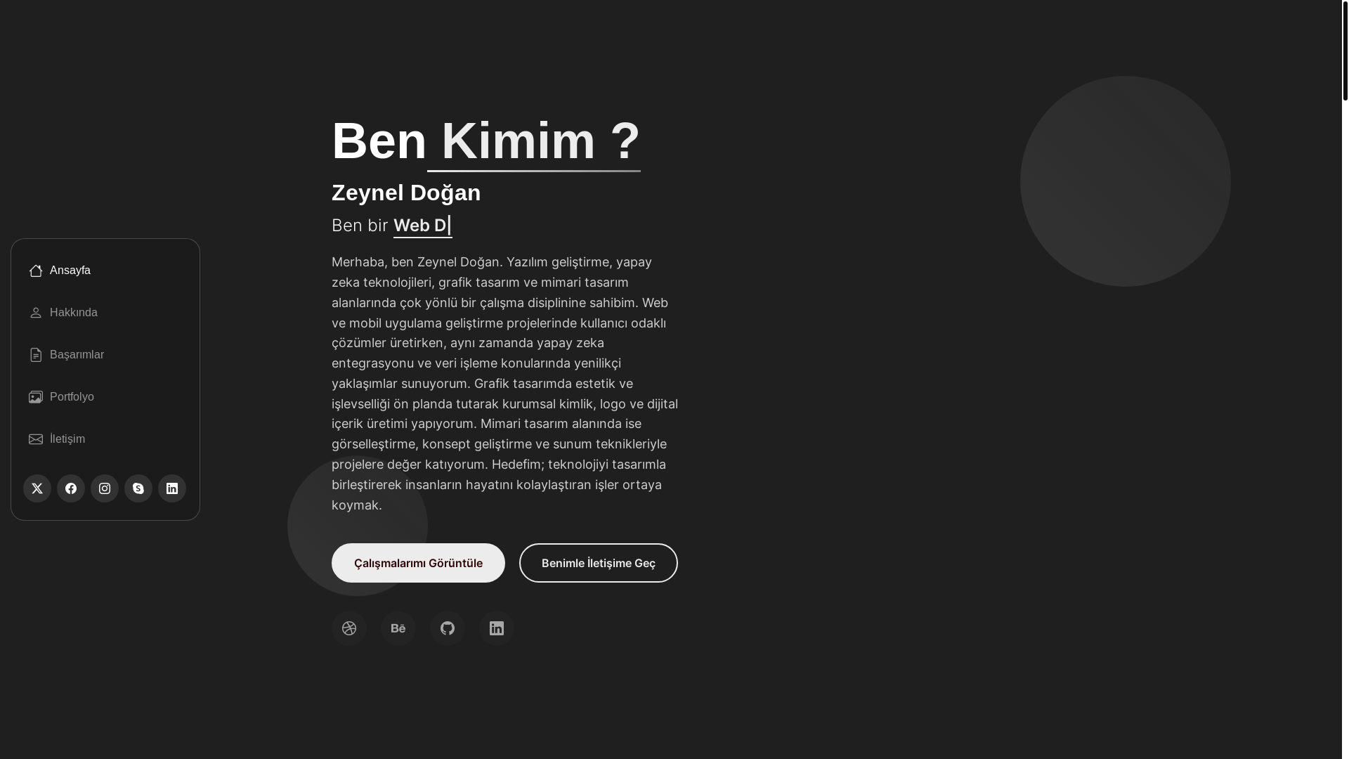 website screenshot of https://dogansoftwarelab.com/