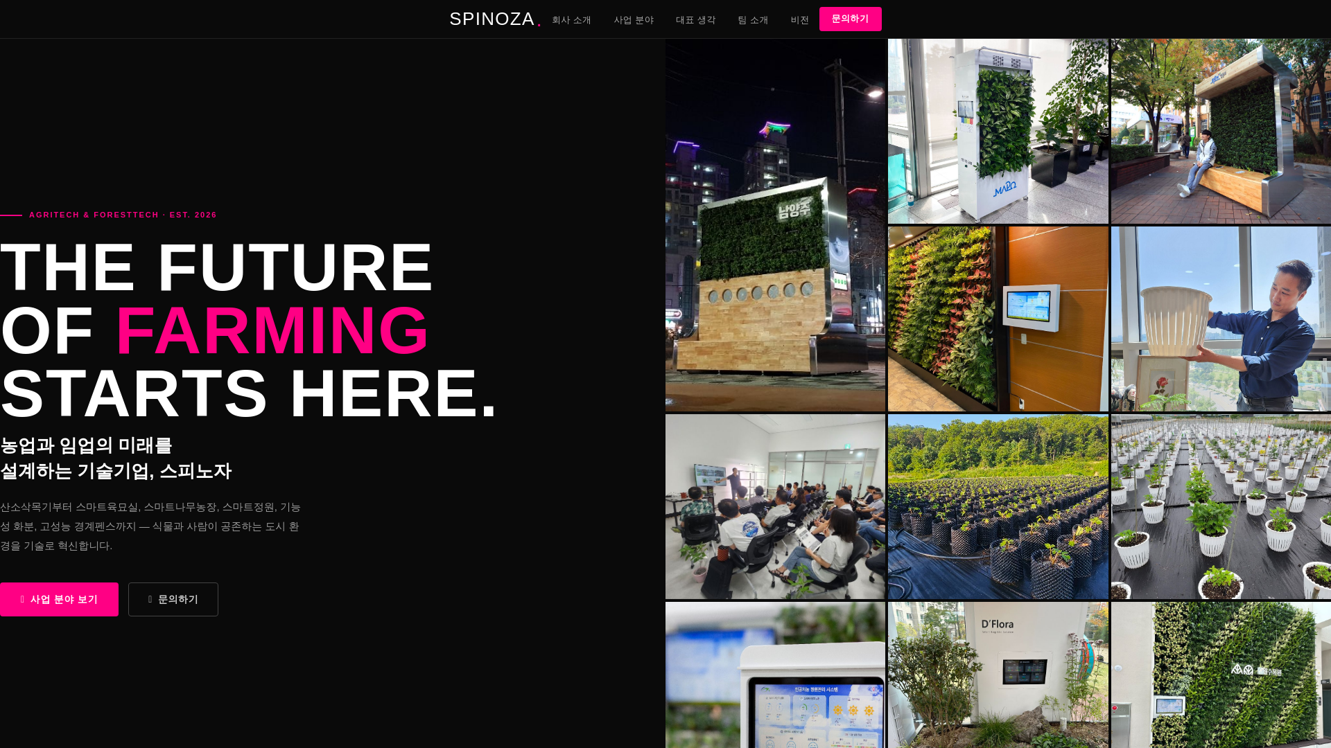 website screenshot of https://spinozakorea.pages.dev/