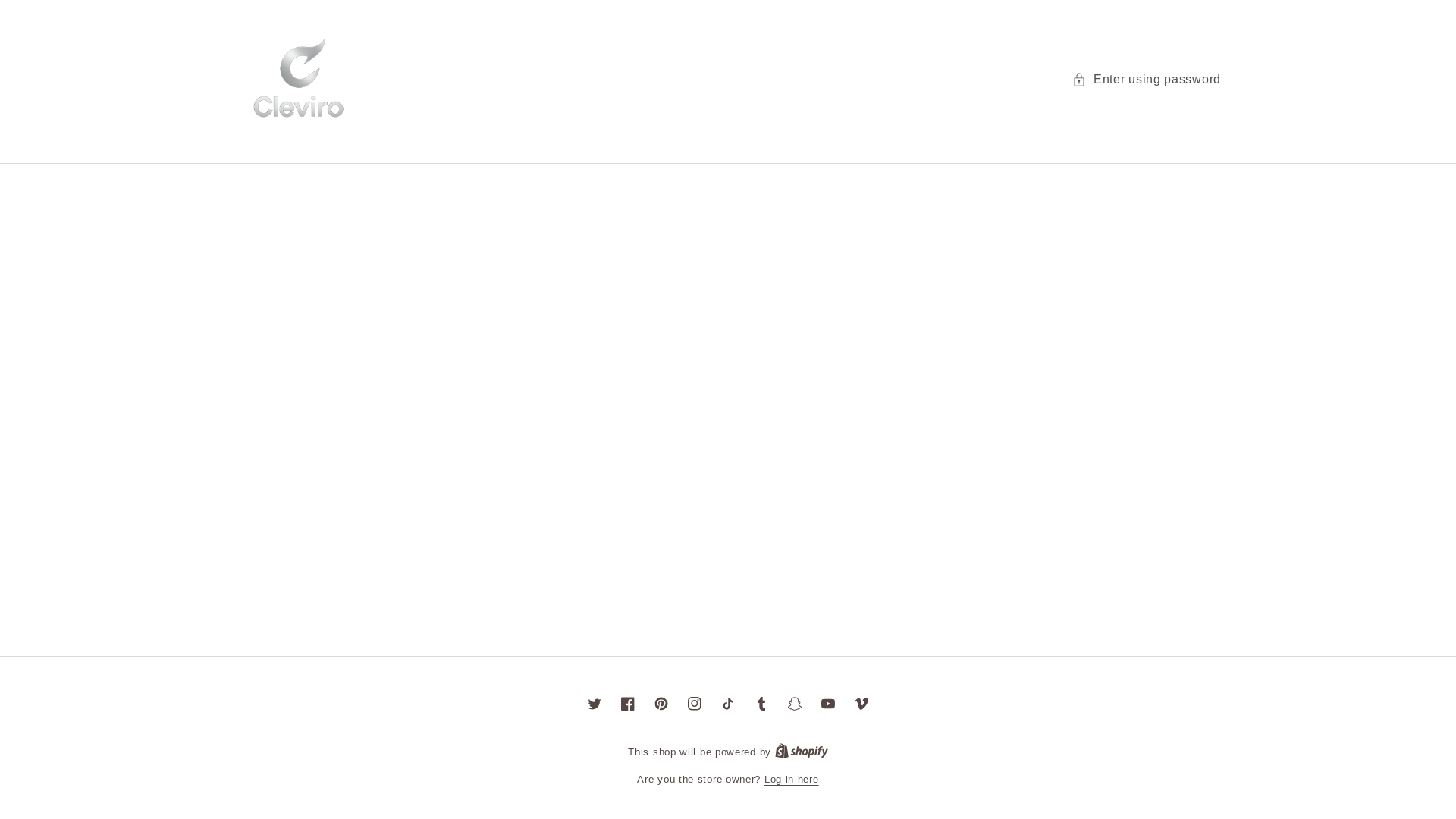 website screenshot of https://cleviro.store/