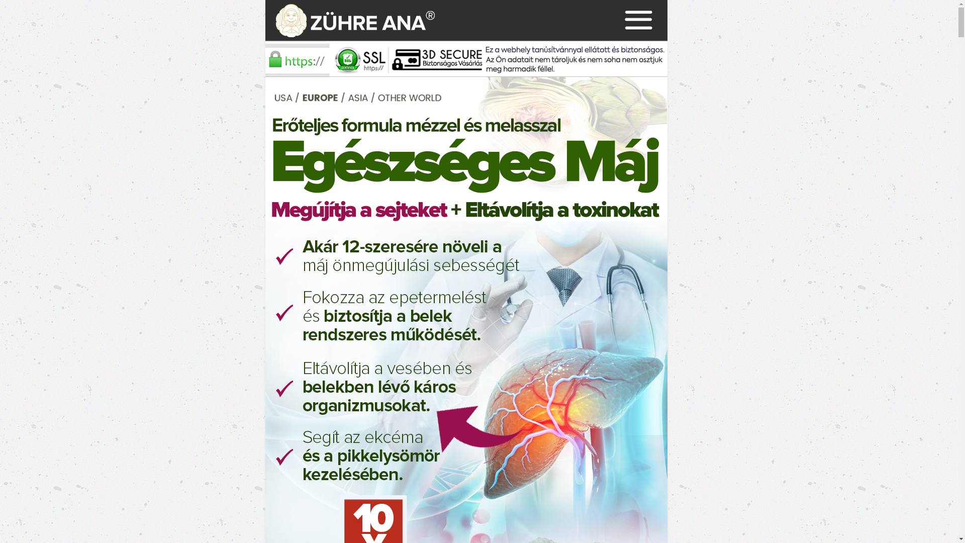 website screenshot of https://artichokepastehu.shop/