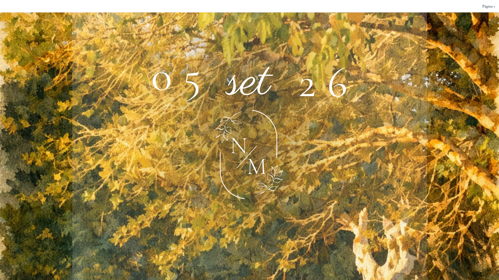 website screenshot of https://nadiaemarcos.com/