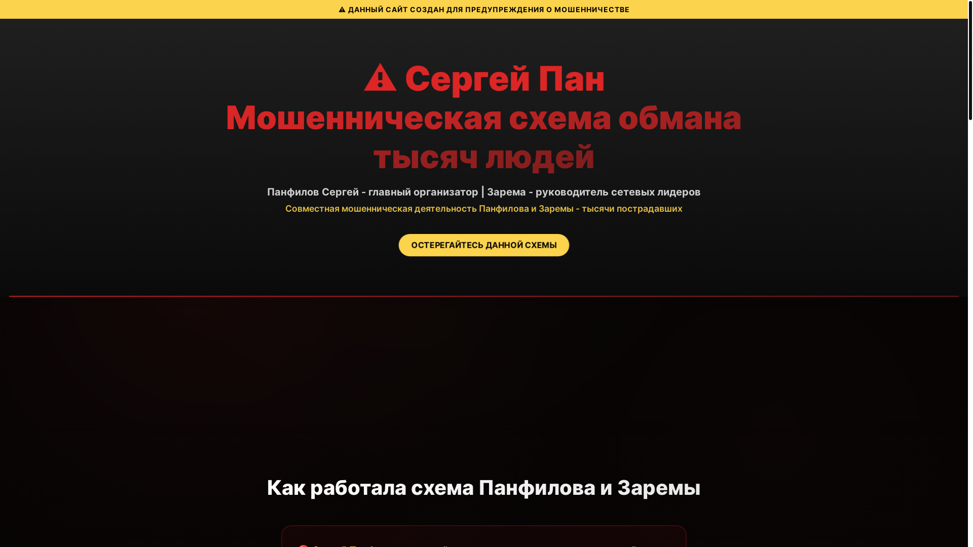 website screenshot of https://panfilovscam.nl/