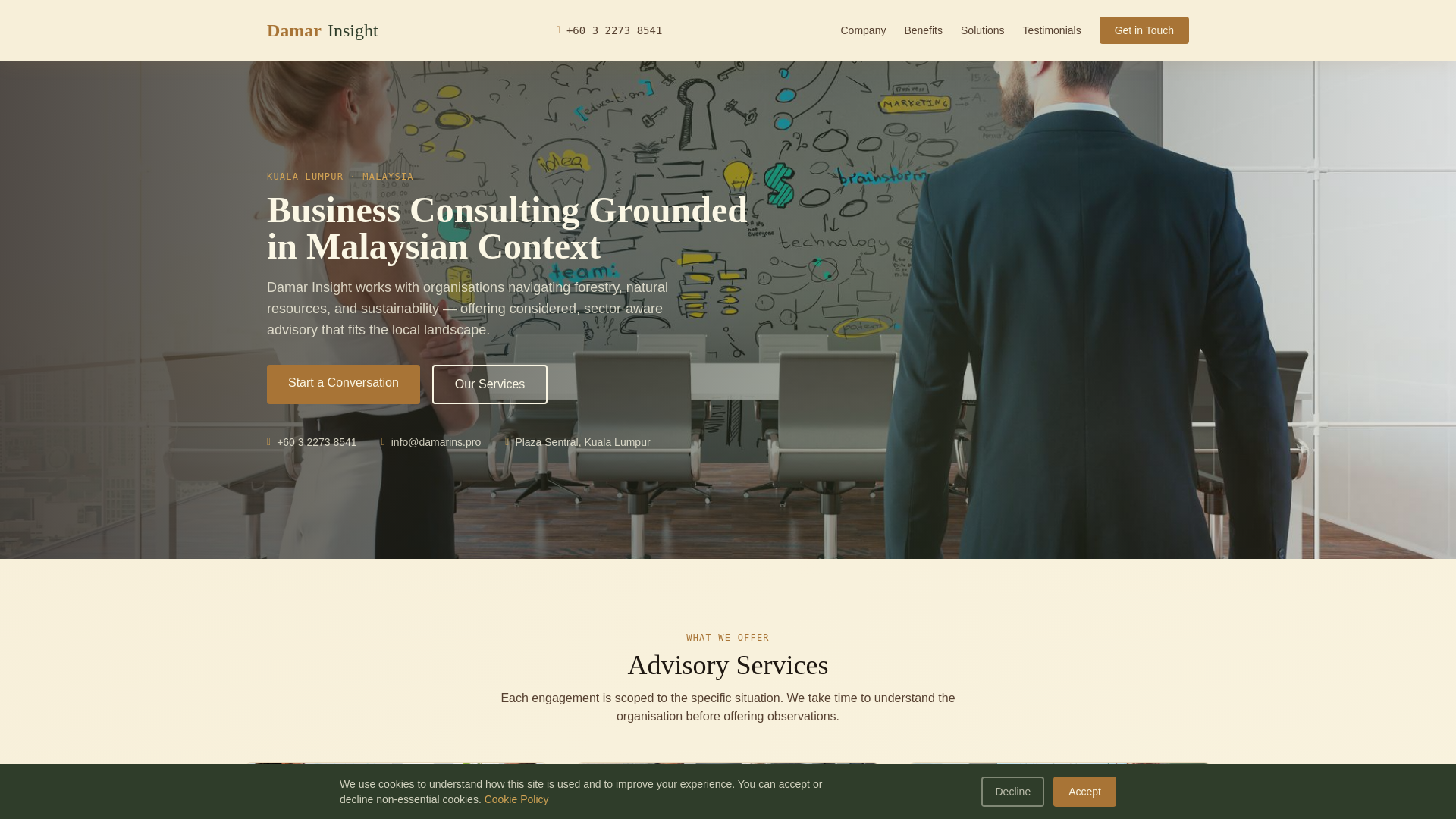 website screenshot of https://damarins.pro/