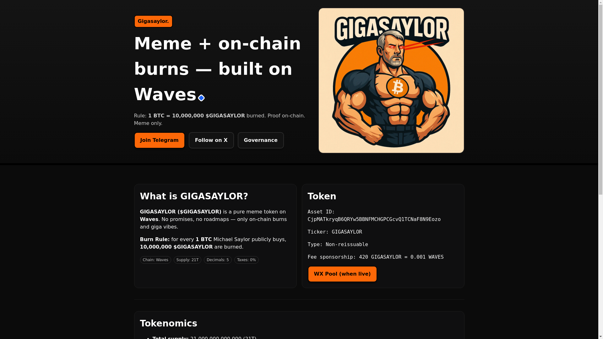 website screenshot of https://gigasaylor.com/