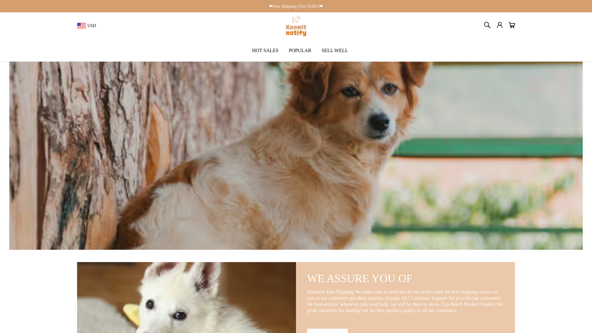 website screenshot of https://knowitnotify.com/