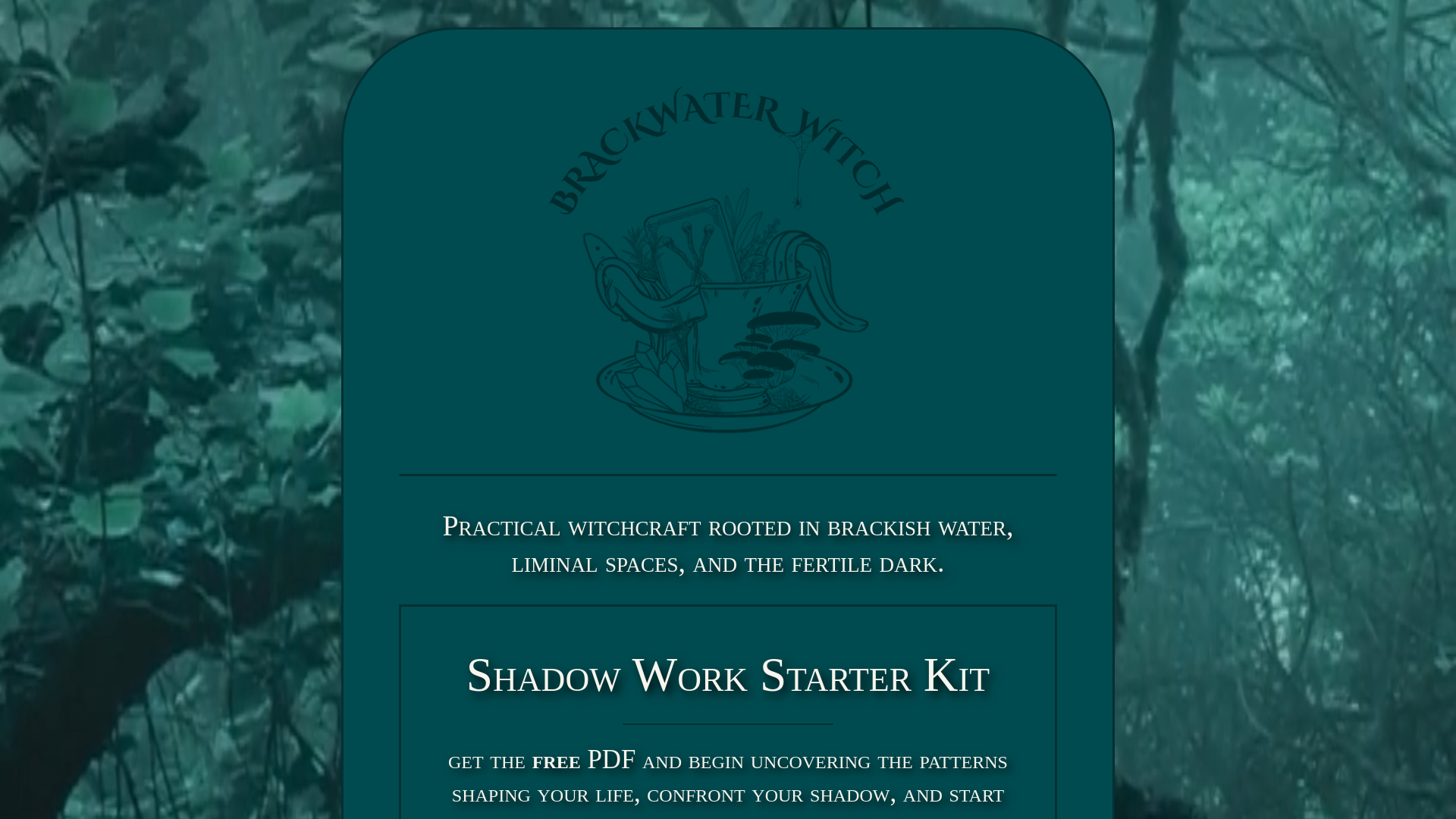 website screenshot of https://brackwaterwitch.com