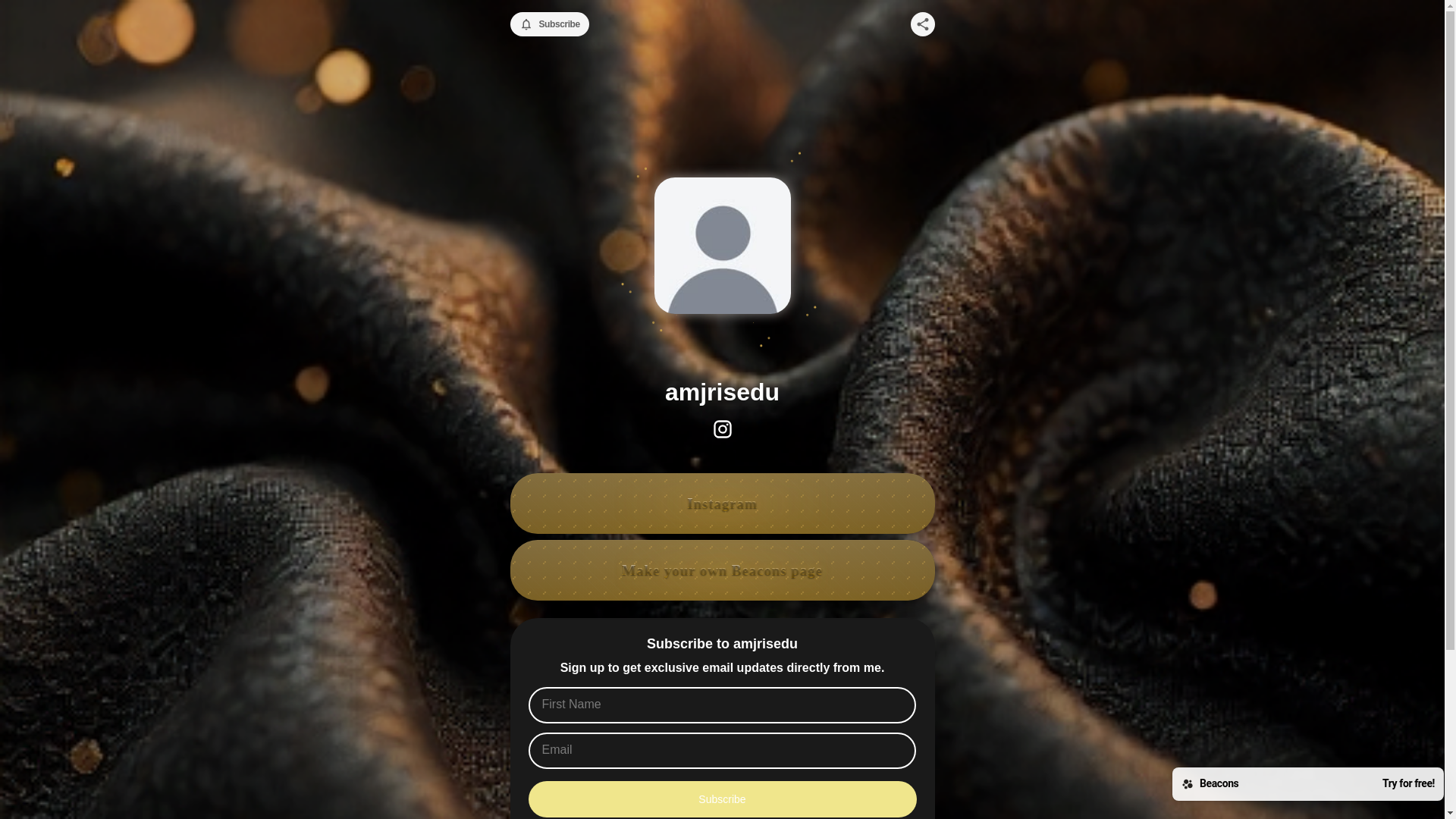 website screenshot of https://amjrisedu.com/