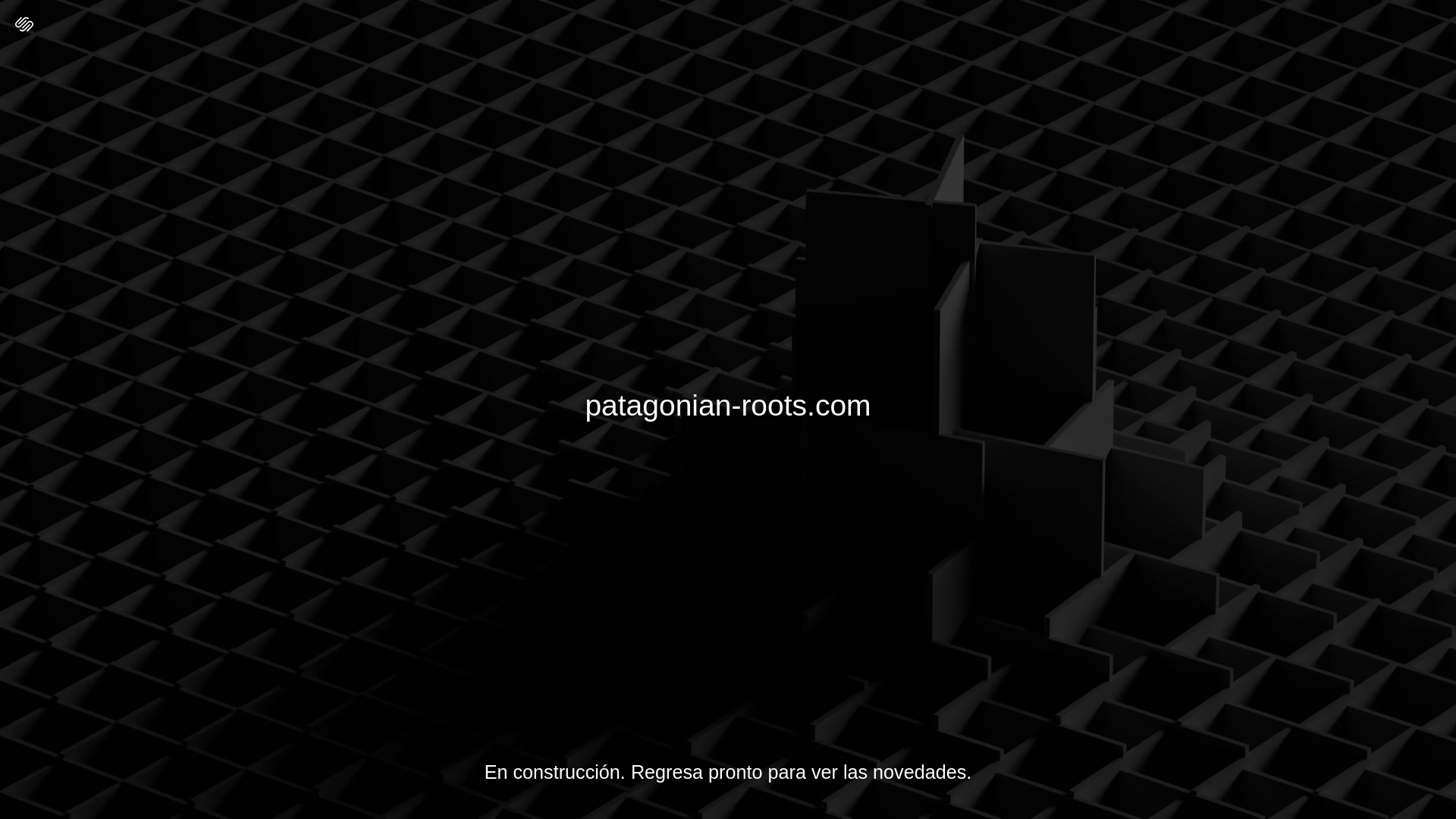 website screenshot of https://patagonian-roots.com/