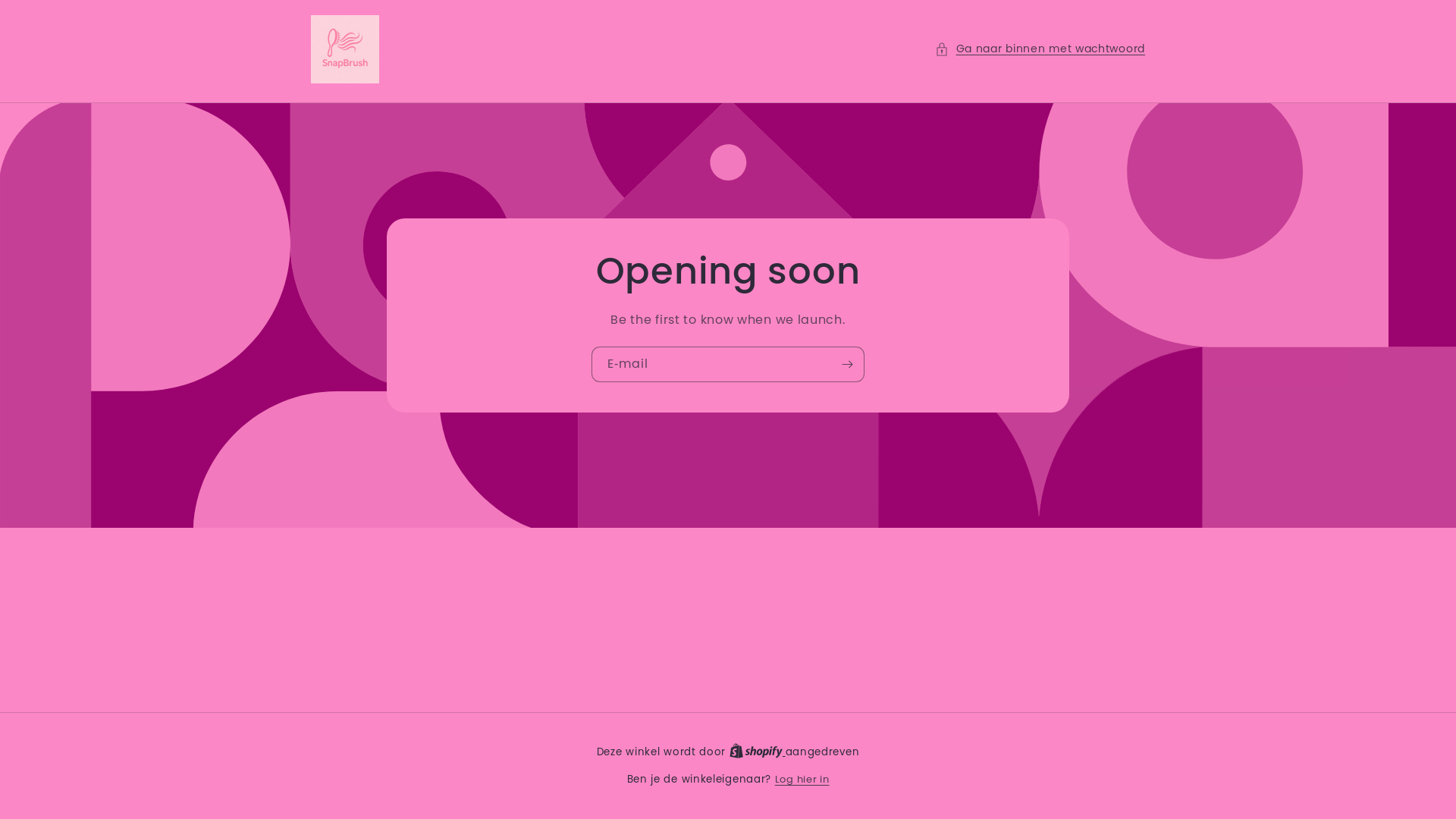 website screenshot of https://snapbrush.nl/