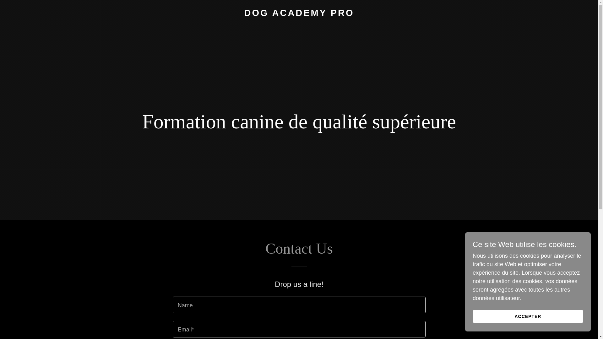 website screenshot of https://dogacademypro.ca/